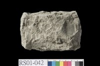 藏品(泥岩)的圖片